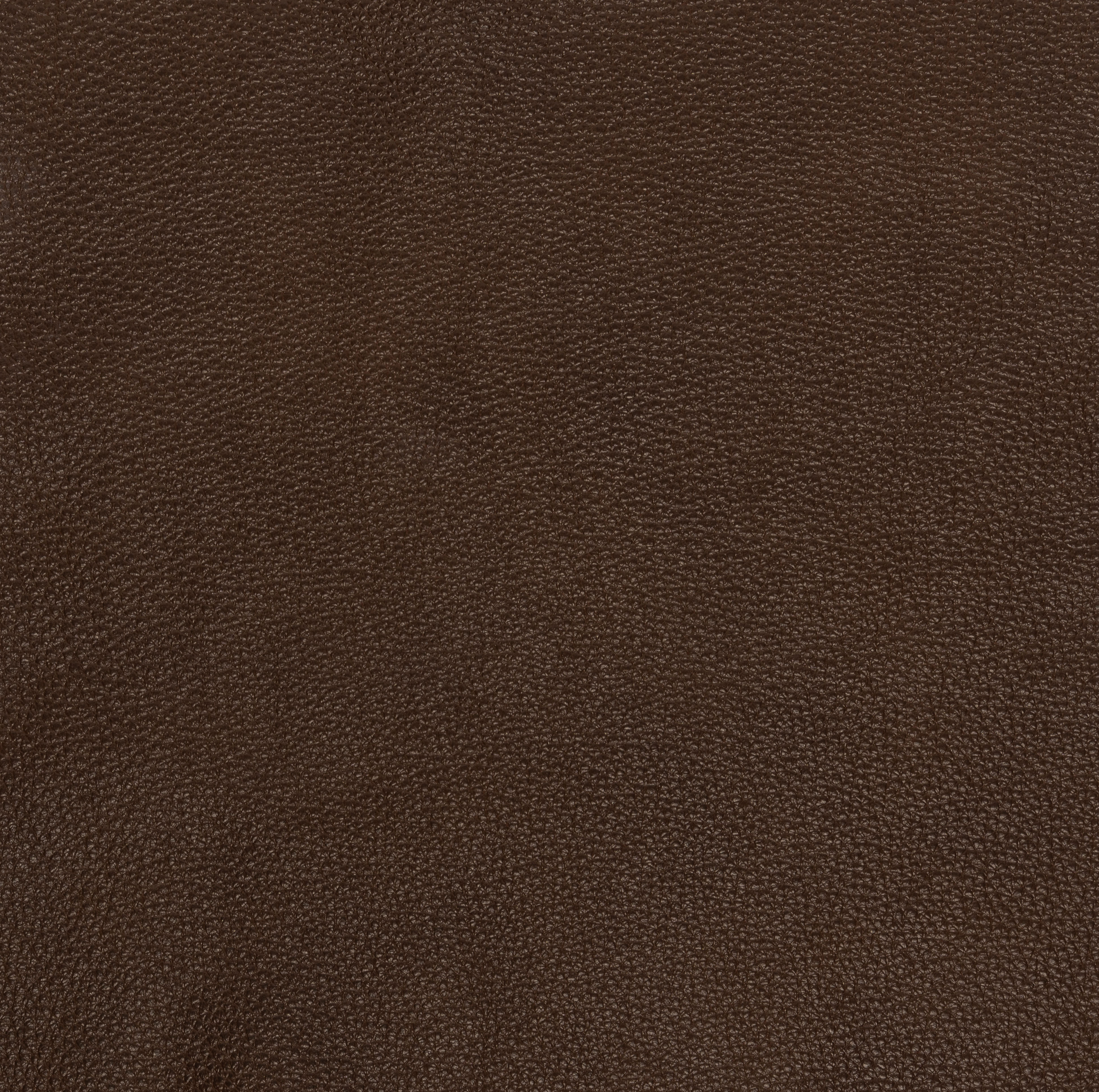 Sorrento Coffee leather swatch