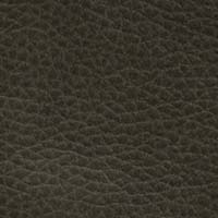 Capriccio Smoke fabric swatch